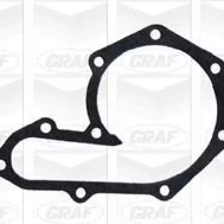Pompe à eau 7701473365 - CLIO 2-KANGOO 1 1.9D
