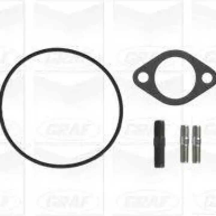 Pompe à eau DUCATO 2.5D-2.8 D/BOXER 2 2.8HDI